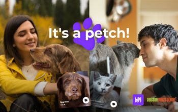 HILY Partners With Animal Shelter to Find Homes For Cats and Dogs