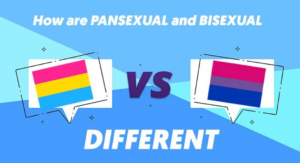 What Does Bisexual Mean: Understanding Bisexuality - Love Doctor Blog